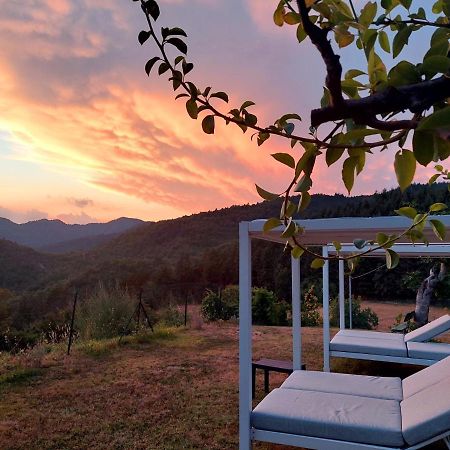Villa Giuliana B&B スカルペリーア エクステリア 写真