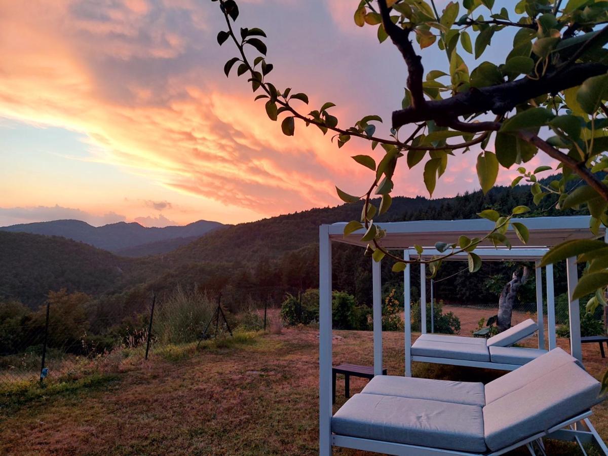 Villa Giuliana B&B スカルペリーア エクステリア 写真